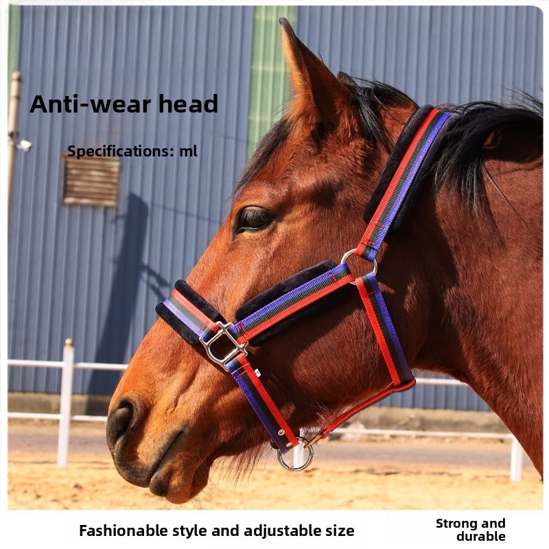 Headcollar Rope Set - Ensemble de licol pour cheval en