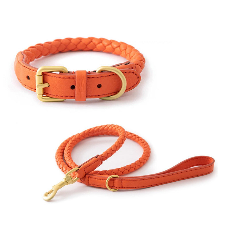 Headcollar Rope Set - Ensemble collier et laisse pour animaux