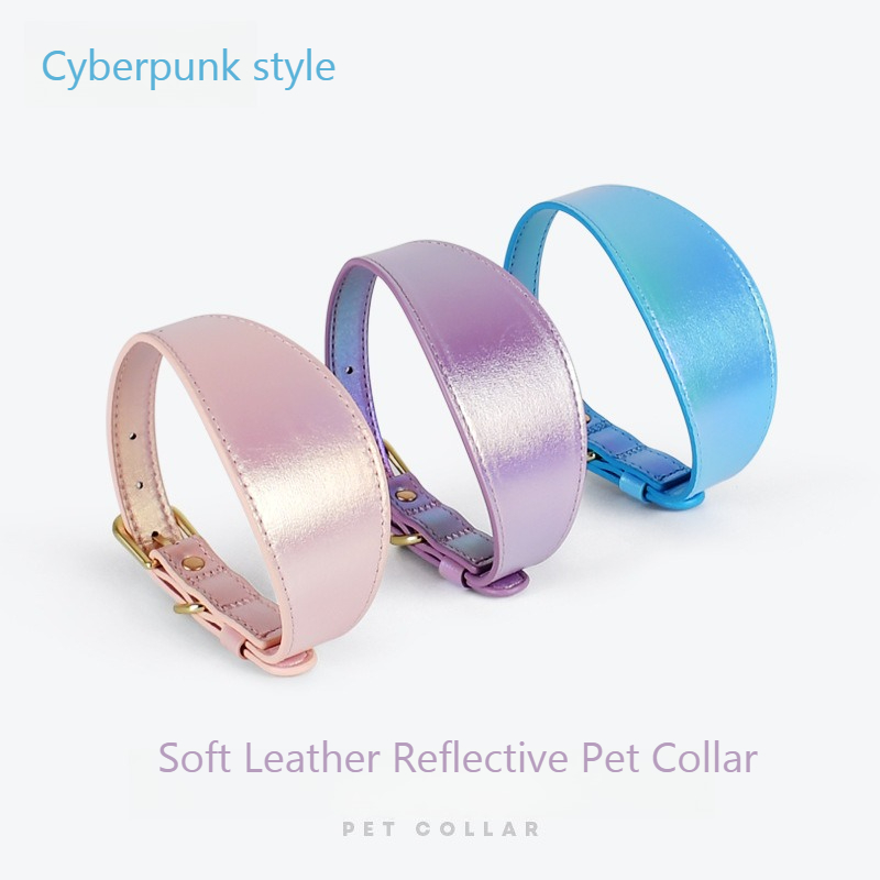 Ensemble collier et laisse pou - Headcollar Rope Set avis et prix