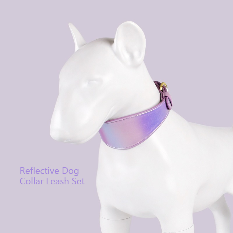 Ensemble collier et laisse pou - Headcollar Rope Set avis et prix