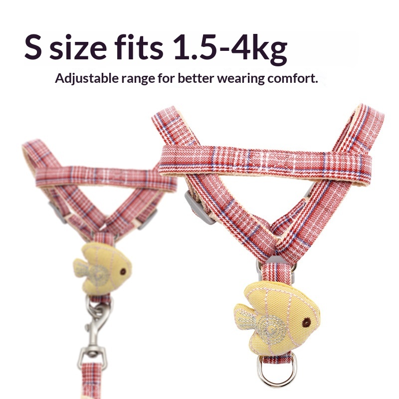 Ensemble Harnais et Laisse pou - Headcollar Rope Set avis et prix