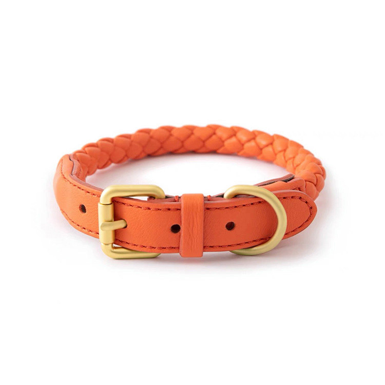Ensemble collier et laisse pou - Headcollar Rope Set avis et prix