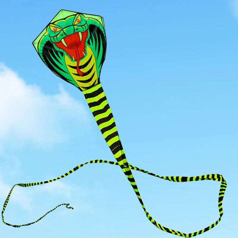 Cerf-volant serpent Paradise B - Outdoor Sport Outlet avis et prix
